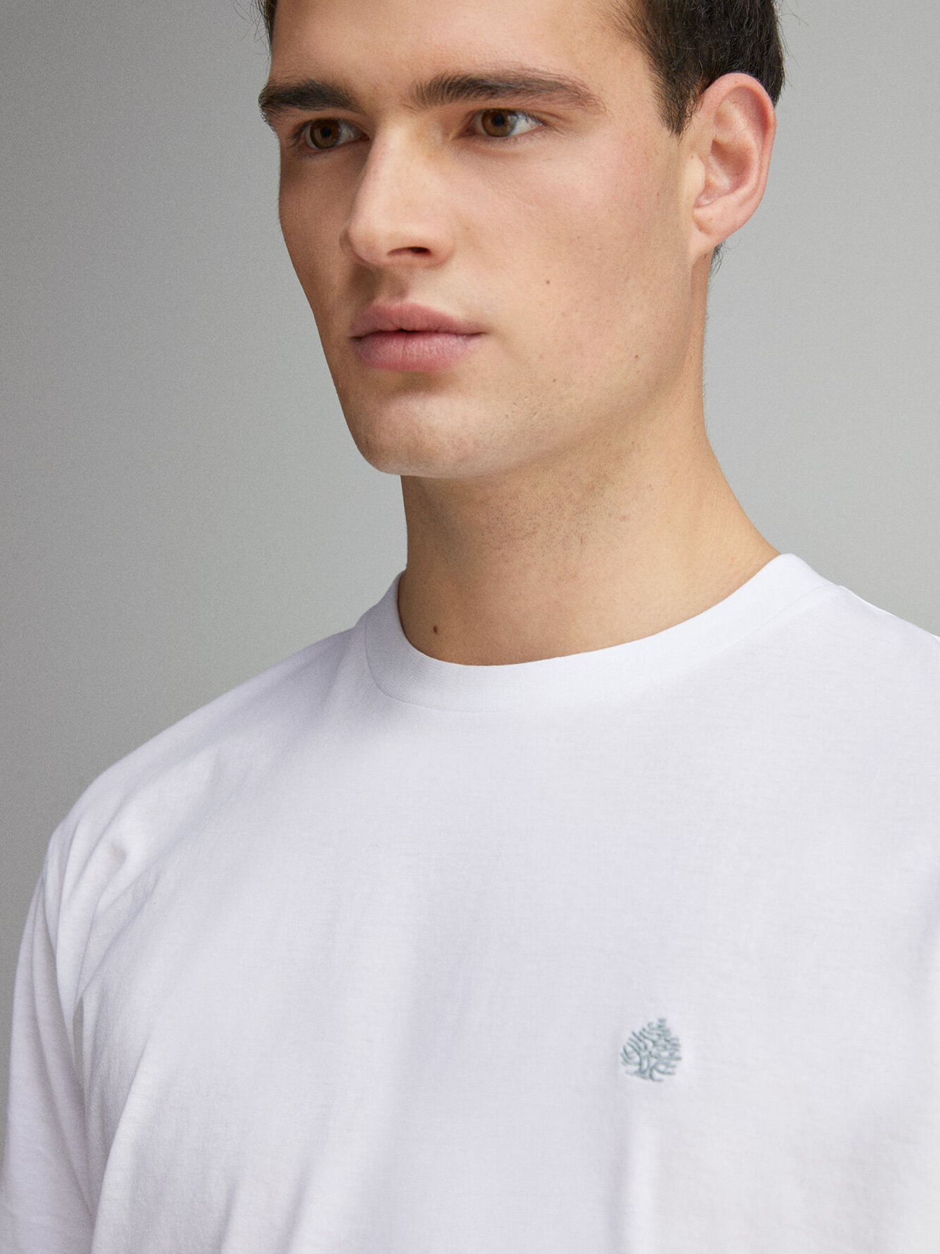 Футболка SPRINGFIELD Модель 7122284-99 Фото