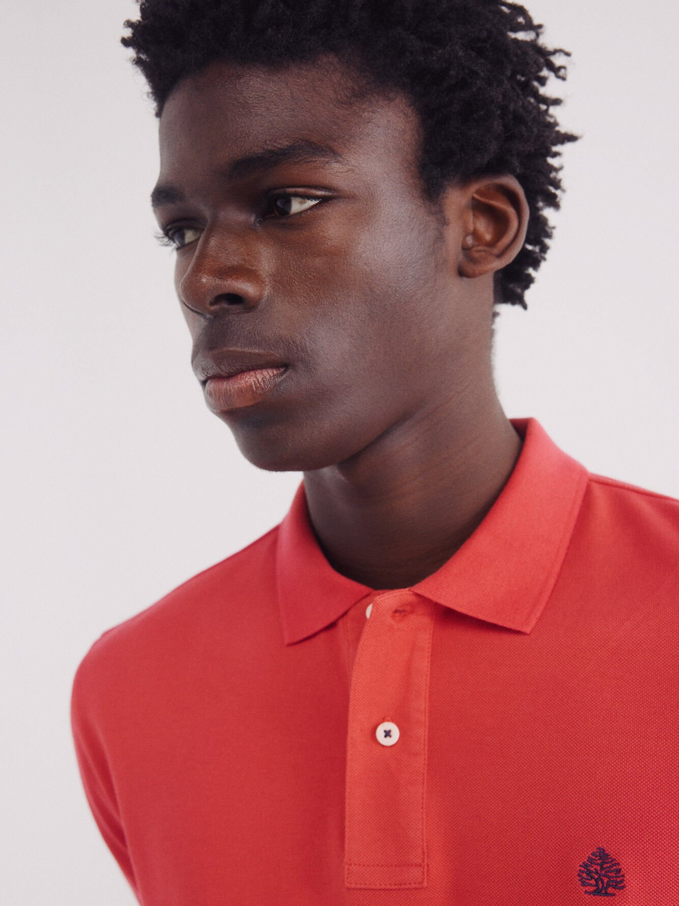 Поло SPRINGFIELD модель 8551088-61 Фото