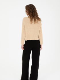 Повсякденні штани US Polo модель G082SZ0TH.000.1753820.VR046 Фото