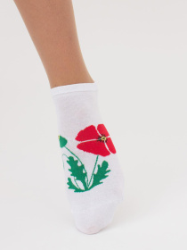 Набір шкарпеток Giulia модель UP-00002676 Фото