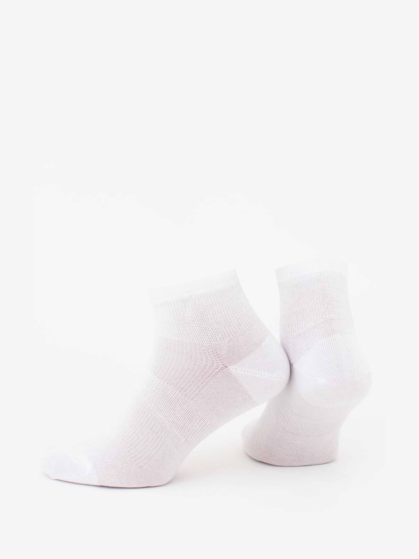 Носки Giulia модель UP-00002700 Фото