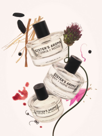 Аромат в авто Виноград и ежевика Sister’s Aroma модель 4820227784738 Фото