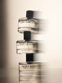 Аромат в авто Виноград и ежевика Sister’s Aroma модель 4820227784738 Фото