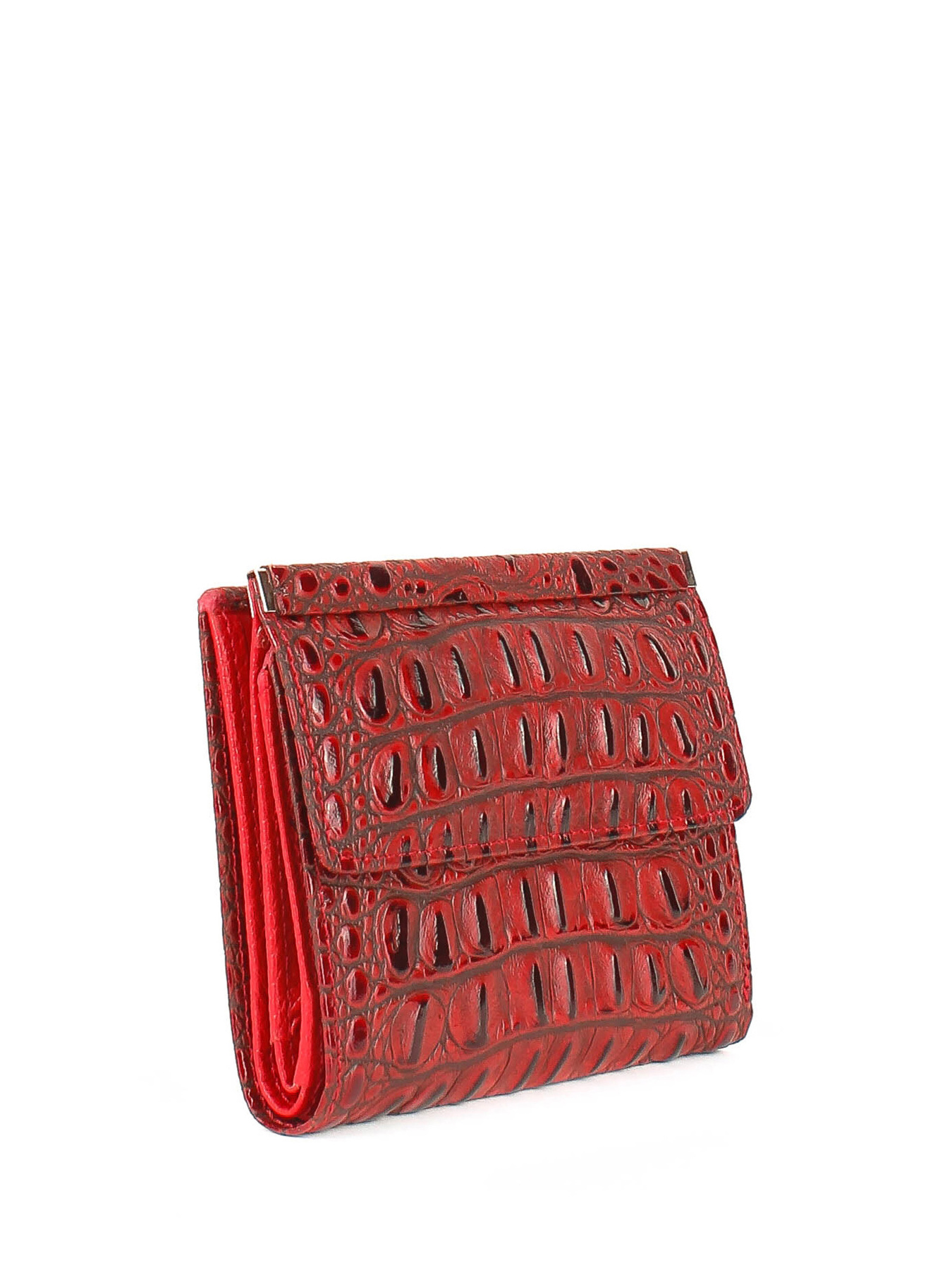 Кошельки Bella Bertucci модель 105-912 Фото