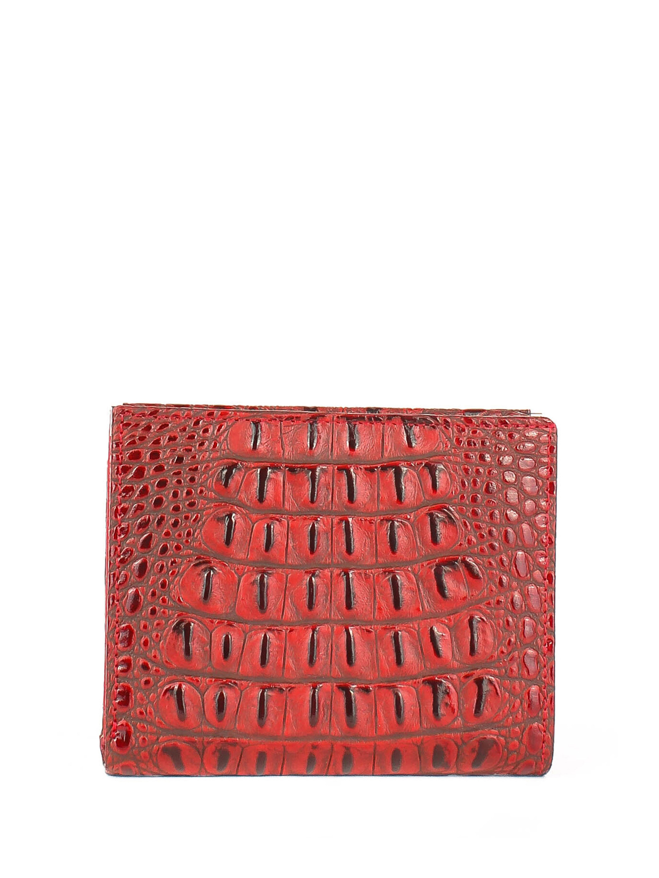 Гаманці Bella Bertucci модель 105-912 Фото