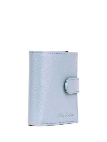 Кошельки Bella Bertucci модель 166-690 Кошельки Bella Bertucci модель 166-690 Фото