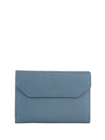 Кошельки Bella Bertucci модель 305-418 Фото