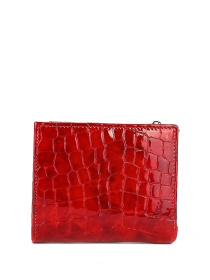 Кошельки Bella Bertucci модель 755-997 Фото