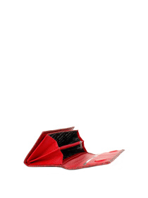 Кошельки Bella Bertucci модель 900-912 Кошельки Bella Bertucci модель 900-912 Фото