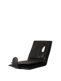 Кошельки Bella Bertucci модель 080-1 Фото