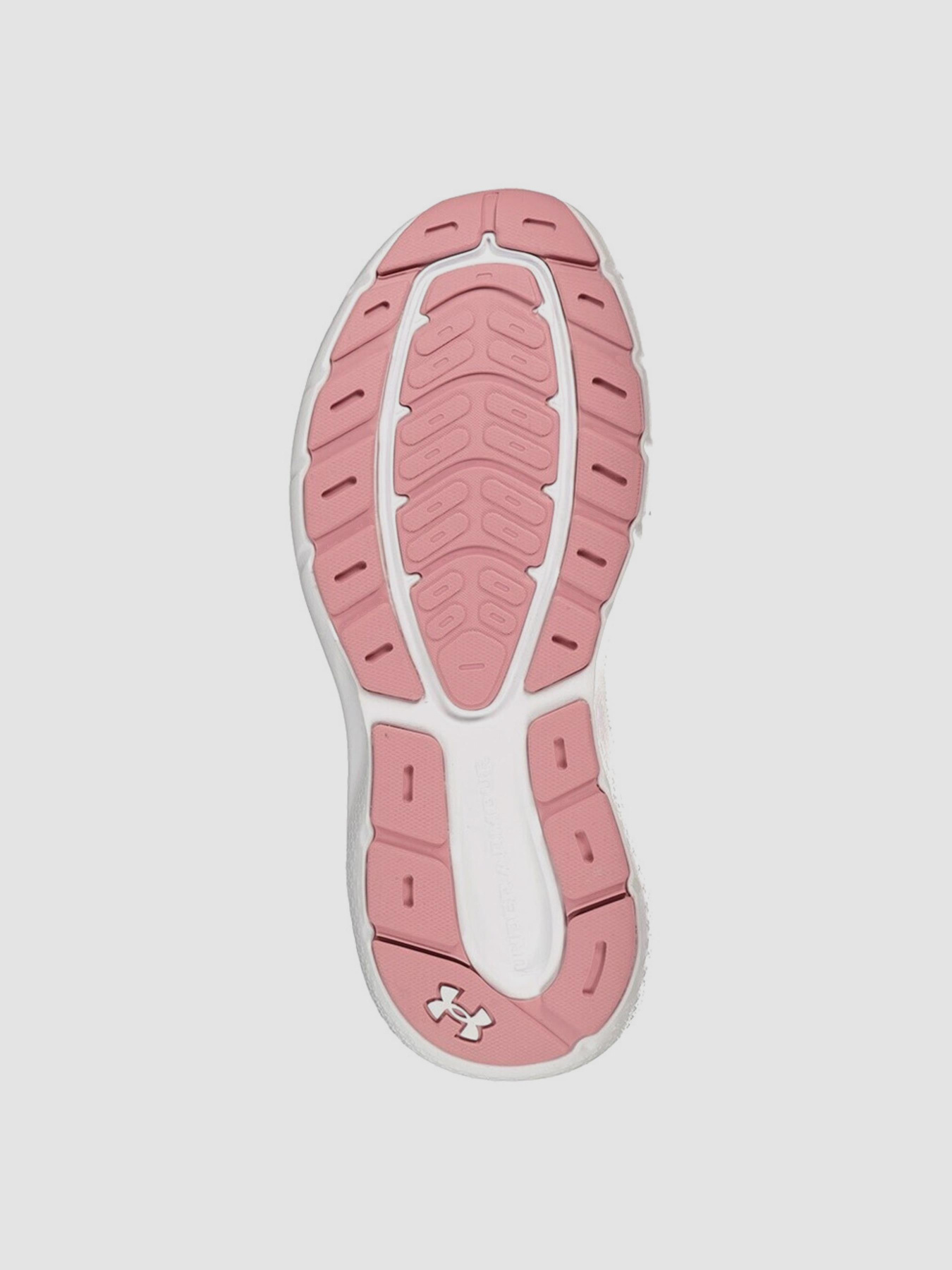 Кроссовки для бега Under Armour Charged Rogue 5 модель 3028262-647 Фото