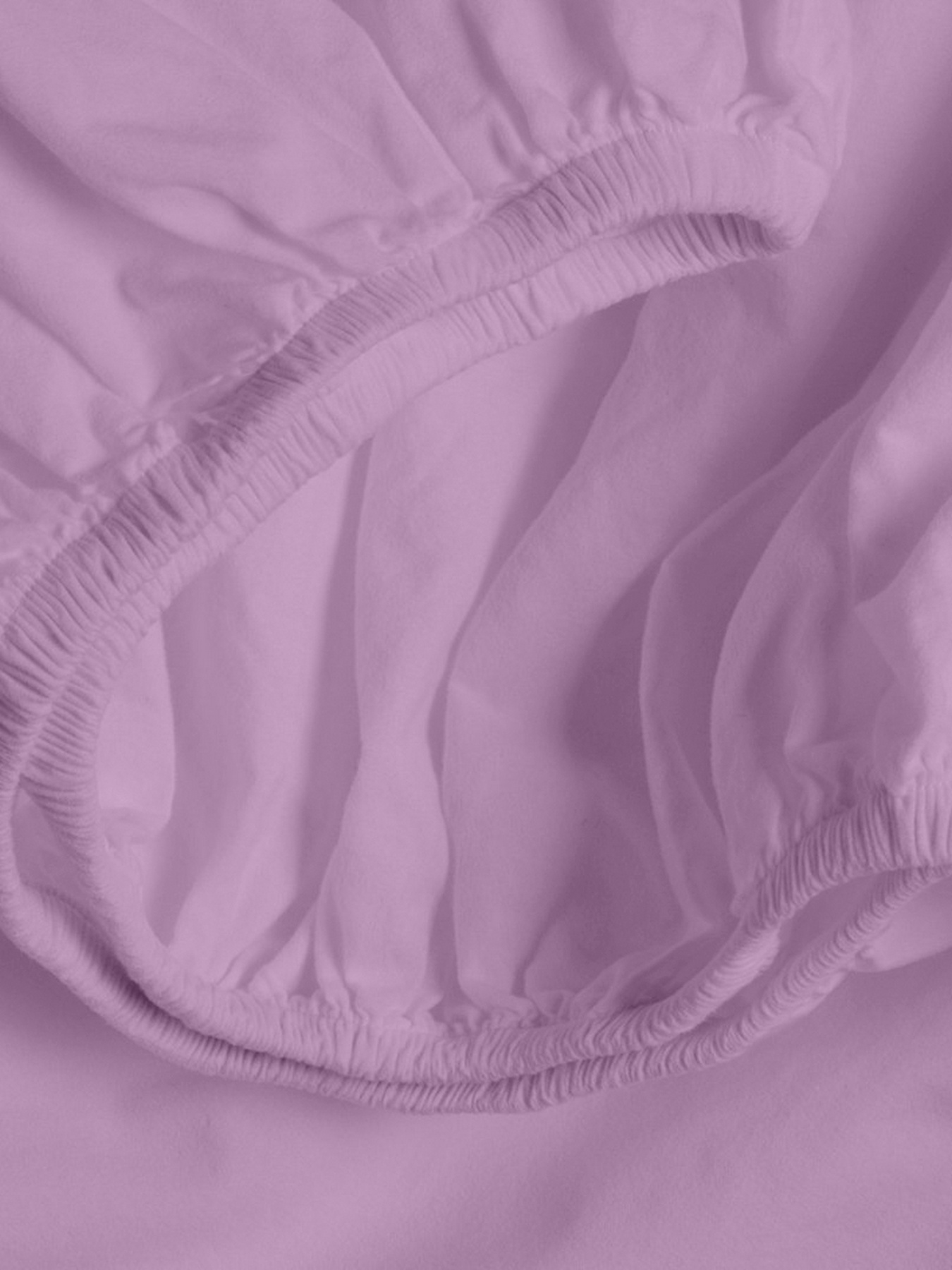 Простирадло на резинці ранфорс CAMELLIA Cosas модель Camellia46_100x200x20 Фото