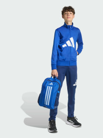 Рюкзак Adidas модель JN2737 Фото