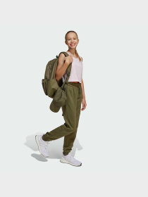 Рюкзак Adidas модель IS7051 Фото