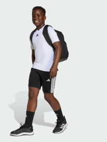 Спортивний комплект Adidas Clima модель JW4973 Фото