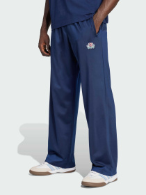 Повседневные штаны Adidas Graphics модель JX8164 Фото