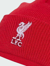 Шапка Adidas модель JZ4449 Фото