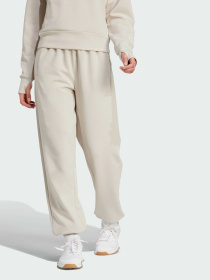 Штани спортивні Adidas Clima Модель JW3398 Фото