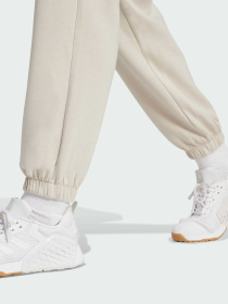 Штани Adidas Clima модель JW3398 Фото