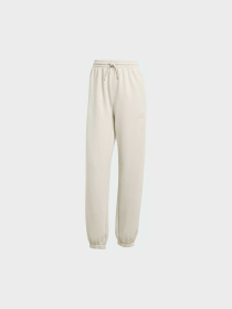 Штани Adidas Clima модель JW3398 Фото