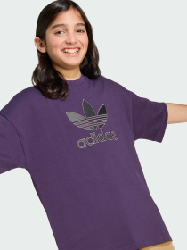 Футболка Adidas Adicolor модель JY6421 Фото