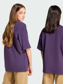 Футболка Adidas Adicolor модель JY6421 Фото