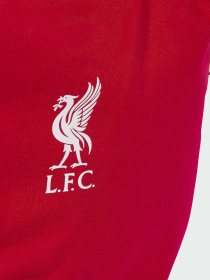 Рюкзак Adidas модель JZ5881 Фото