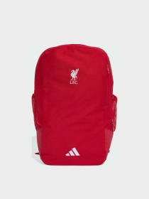 Повсякденний рюкзак Adidas модель JZ5881 Фото