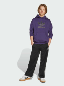 Повсякденні штани Adidas Adicolor модель KE5280 Повсякденні штани Adidas Adicolor модель KE5280 Фото