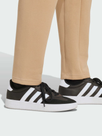 Брюки повседневные Adidas модель JW7152 Фото