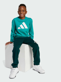 Спортивный костюм Adidas модель JW2436 Фото