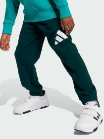 Спортивный костюм Adidas модель JW2436 Фото