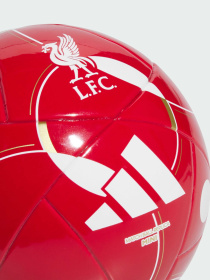 Мячи Adidas модель JY6165 Фото