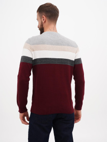 Джемпер US Polo модель USPAINT.1091095.VR126 Фото