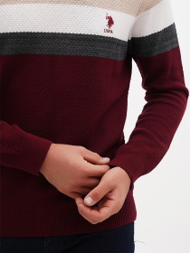 Джемпер US Polo модель USPAINT.1091095.VR126 Фото