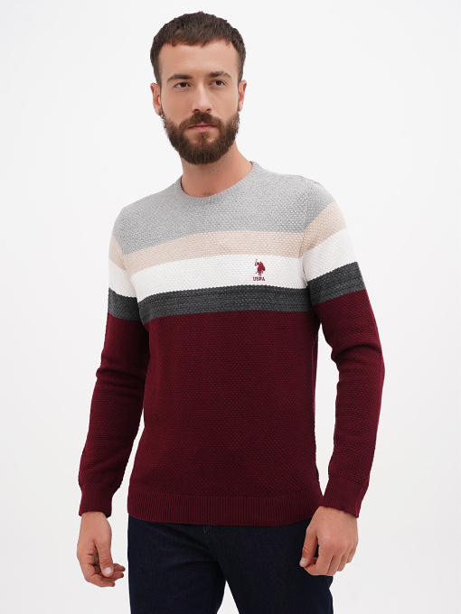 Джемпер US Polo модель USPAINT.1091095.VR126 Фото