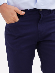 Штани повсякденні US Polo модель USPAINT.1600047.VR033 Фото