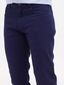 Повсякденні штани US Polo модель USPAINT.1600047.VR033 Фото