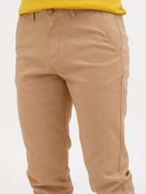 Повседневные штаны US Polo модель USPAINT.1600639.VR015 Фото