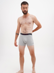 Набір трусів US Polo модель USPA.90004.VR036 Фото