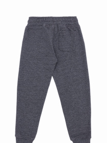 Джоггеры US Polo модель G083SZ0OP.000.1730216.VR081 Фото