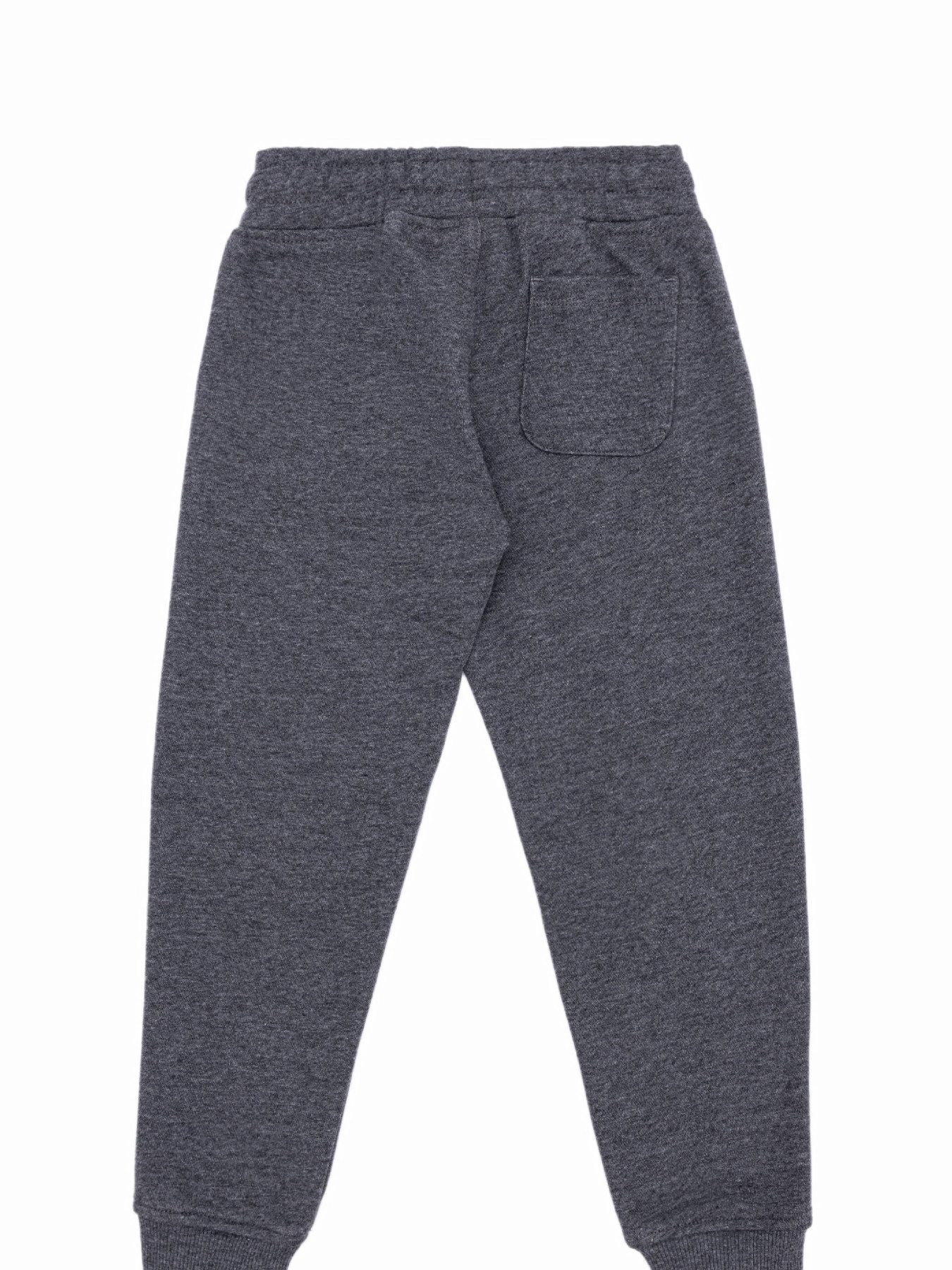 Джогери US Polo модель G083SZ0OP.000.1730216.VR081 Фото