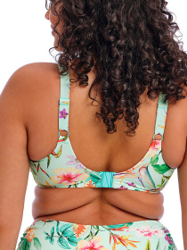 Верхняя часть купальника ELOMI Sunshine Cove модель 801802 Фото