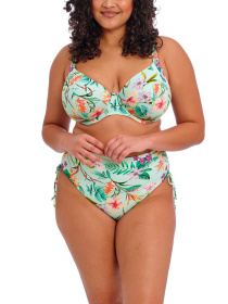 Нижняя часть купальника ELOMI Sunshine Cove модель 801873 Фото