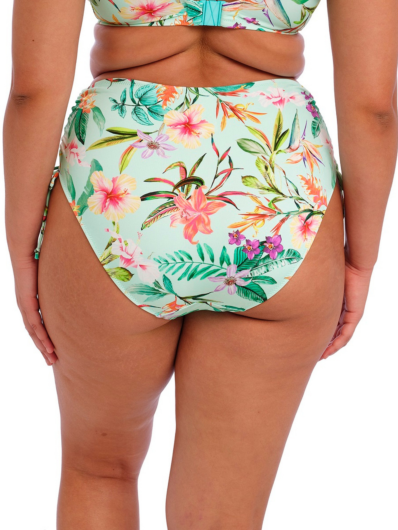 Низ купальника ELOMI Sunshine Cove модель 801873 Фото