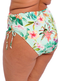 Низ купальника ELOMI Sunshine Cove модель 801873 Фото