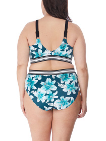 Купальник ELOMI Island Lily модель 7222-7225 Фото