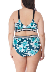 Купальник ELOMI Island Lily модель 7223-7224 Фото