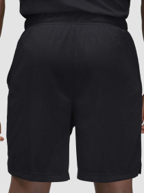 Повседневные шорты Jordan Dri-Fit Sport Mesh модель FN5816-010 Фото