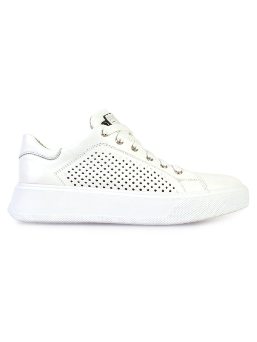 Кеди низькі ModaMilano модель 8200254_(1) Фото